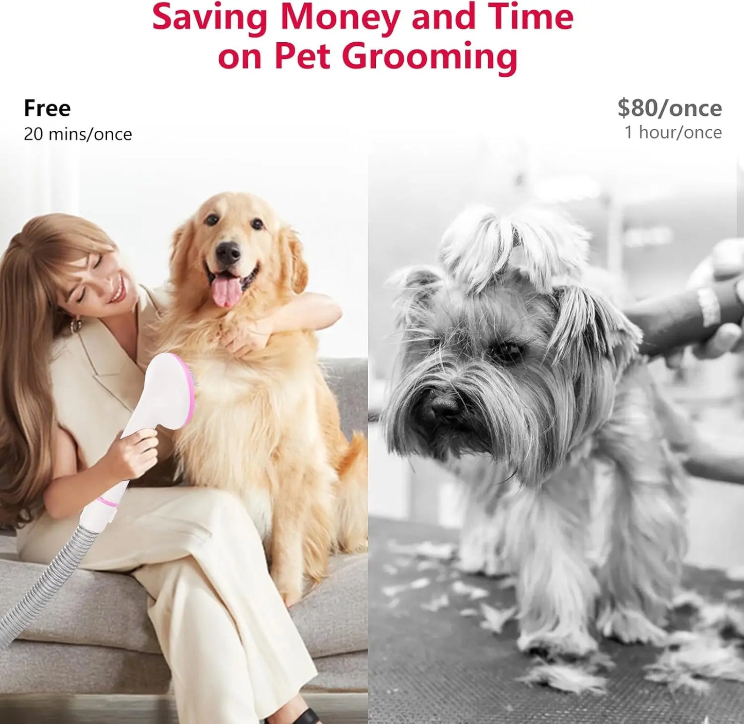 Multi-Functional Pet Grooming Kits
