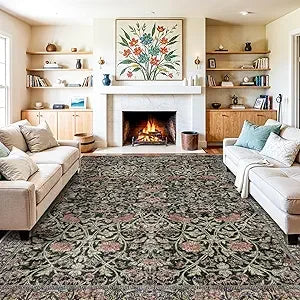Living Room Area Rug -
